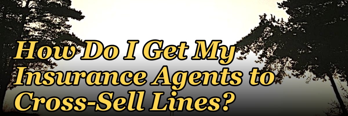 How Do I Get My Insurance Agents to Cross-Sell Lines?