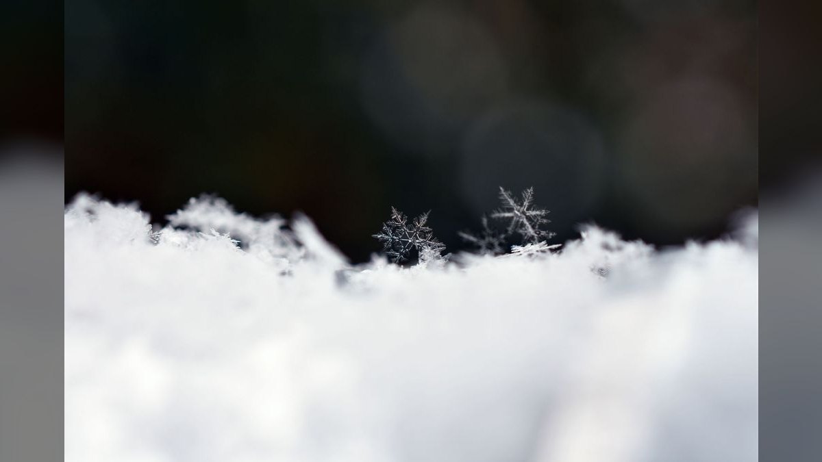 What is Snowflake playbook for the next 5B in revenue — figure 1