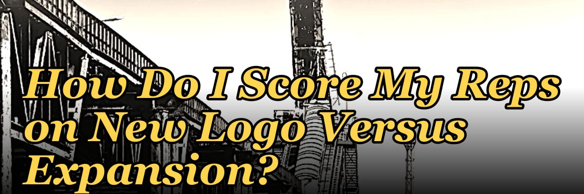 How Do I Score My Reps on New Logo Versus Expansion?