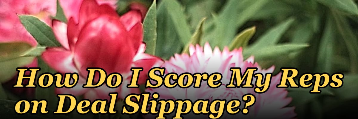 How Do I Score My Reps on Deal Slippage?