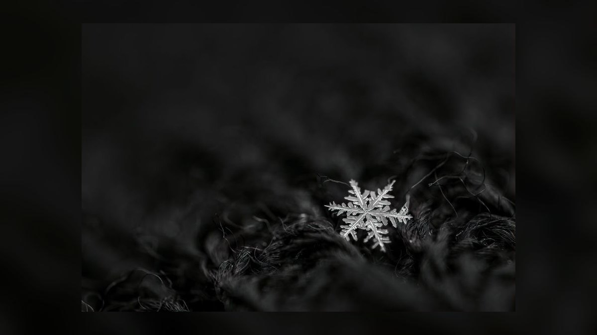 Should Snowflake acquire Coalesce.io or dbt Labs — figure 10