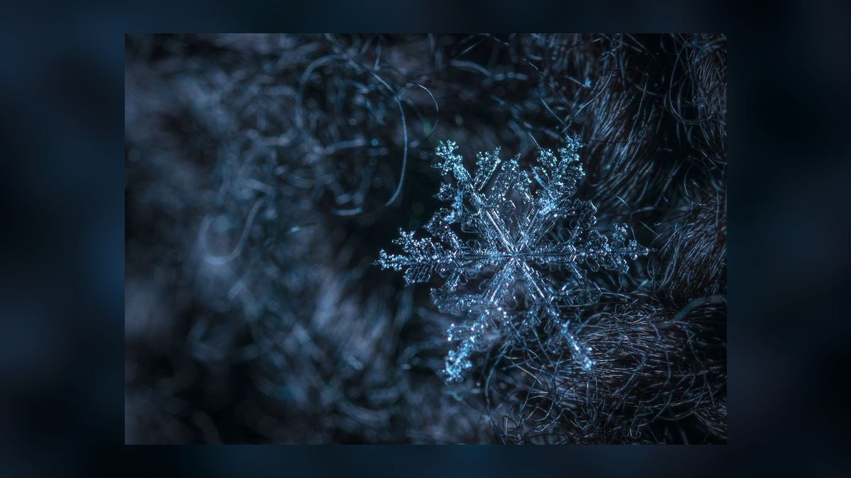 Should Snowflake acquire Coalesce.io or dbt Labs — figure 6
