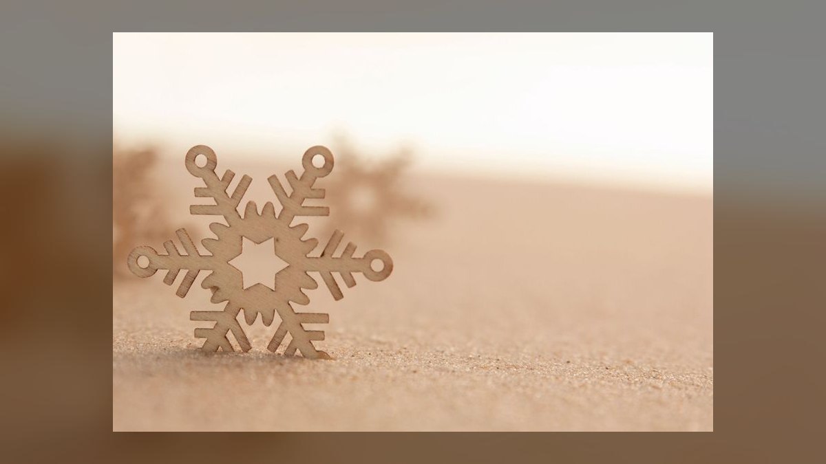 Should Snowflake acquire Coalesce.io or dbt Labs — figure 8