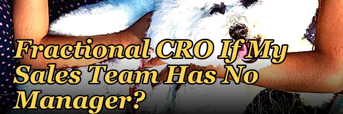 Should I Hire a Fractional CRO If My Sales Team Has No Manager?