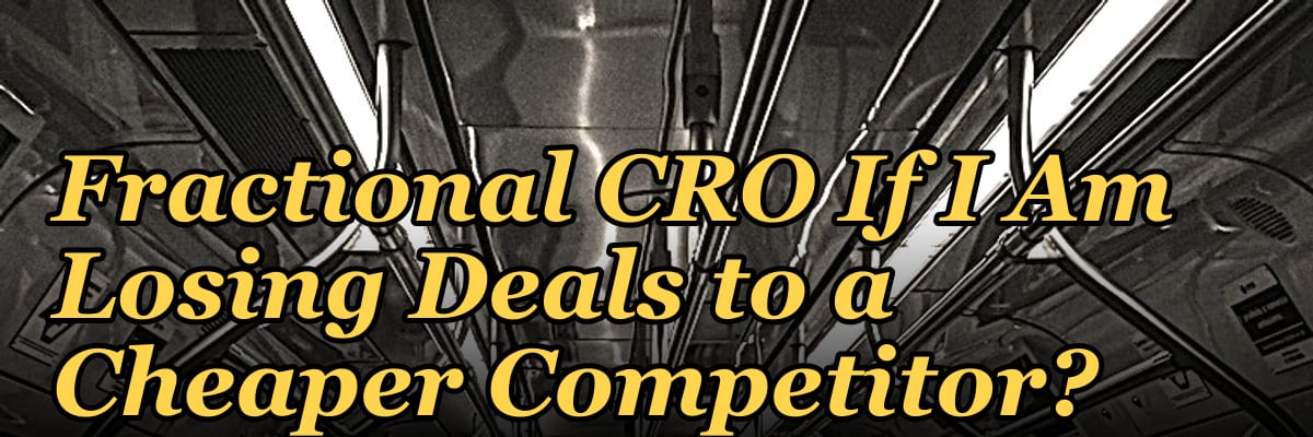 Should I Hire a Fractional CRO If I Am Losing Deals to a Cheaper Competitor?
