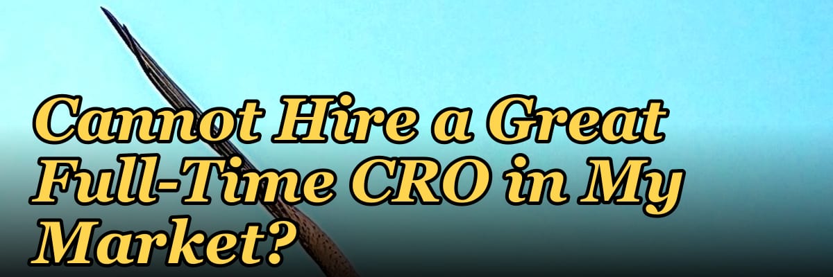 Should I Hire a Fractional CRO If I Cannot Hire a Great Full-Time CRO in My Market?