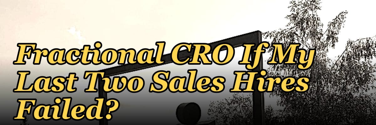 Should I Hire a Fractional CRO If My Last Two Sales Hires Failed?