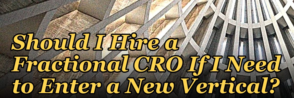 Should I Hire a Fractional CRO If I Need to Enter a New Vertical?