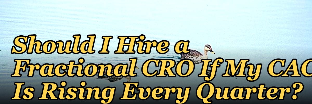 Should I Hire a Fractional CRO If My CAC Is Rising Every Quarter?