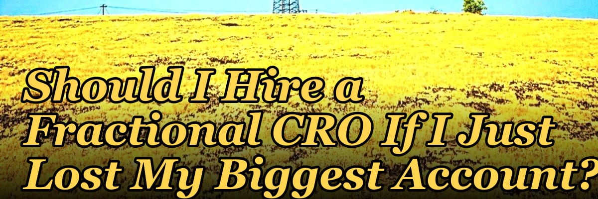 Should I Hire a Fractional CRO If I Just Lost My Biggest Account?