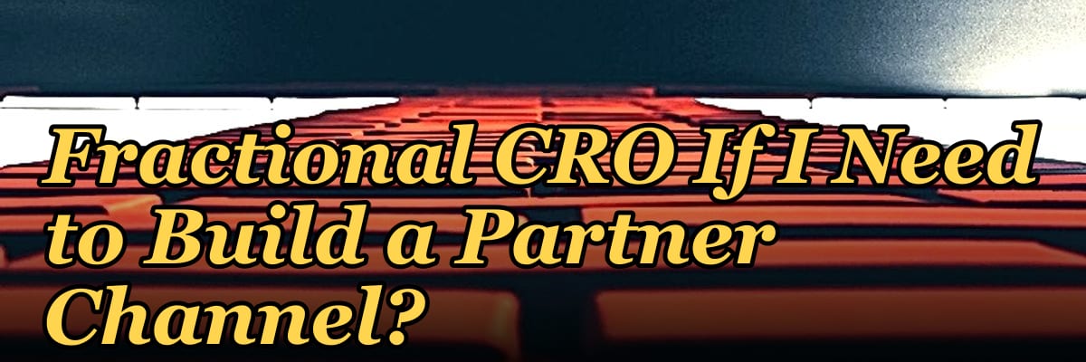 Should I Hire a Fractional CRO If I Need to Build a Partner Channel?