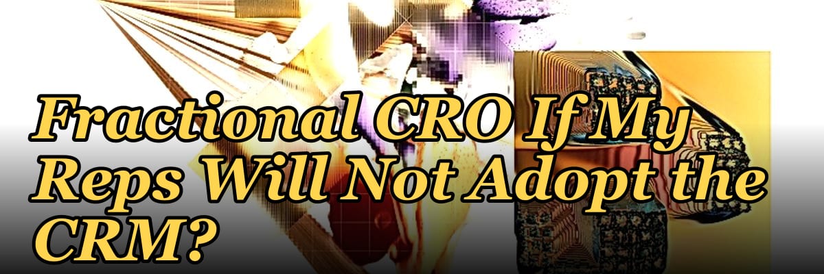 Should I Hire a Fractional CRO If My Reps Will Not Adopt the CRM?