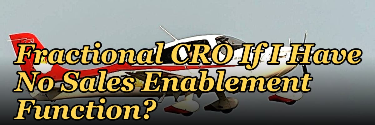 Should I Hire a Fractional CRO If I Have No Sales Enablement Function?