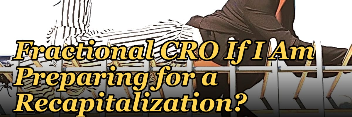 Should I Hire a Fractional CRO If I Am Preparing for a Recapitalization?