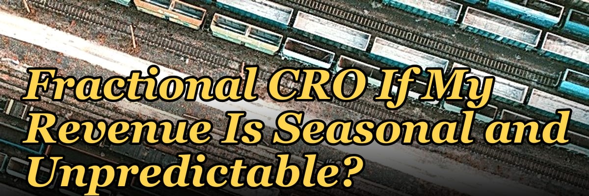 Should I Hire a Fractional CRO If My Revenue Is Seasonal and Unpredictable?