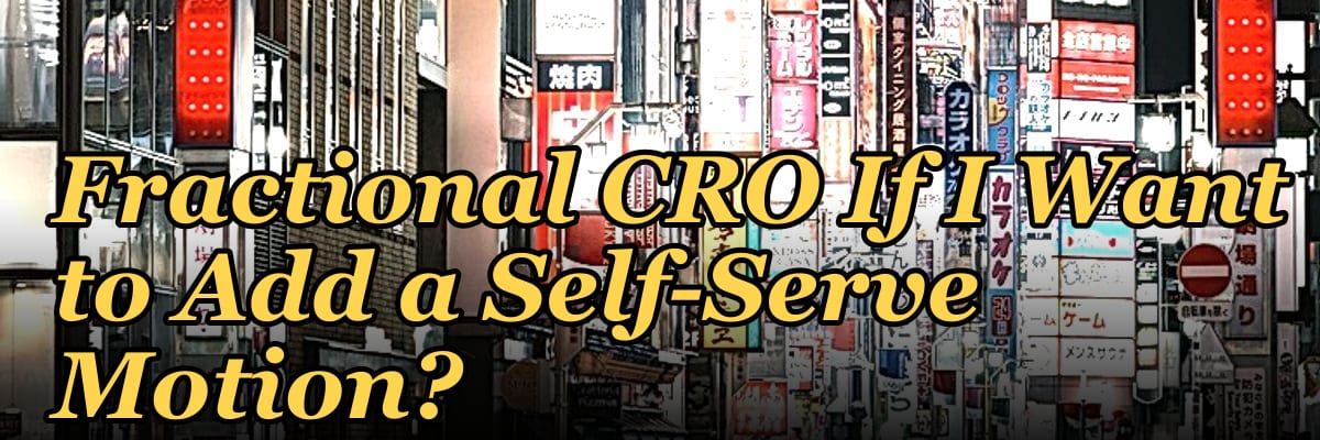 Should I Hire a Fractional CRO If I Want to Add a Self-Serve Motion?