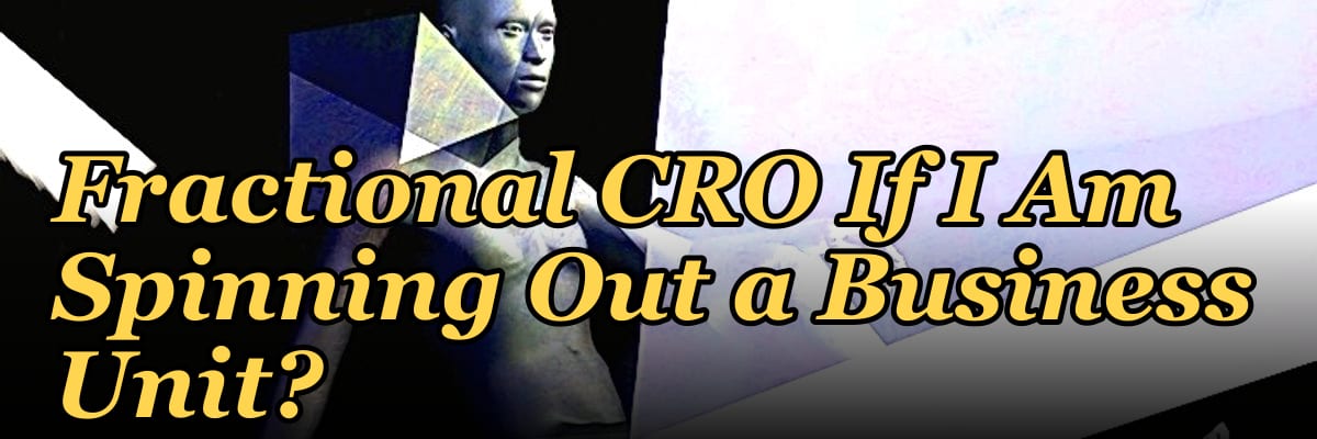 Should I Hire a Fractional CRO If I Am Spinning Out a Business Unit?