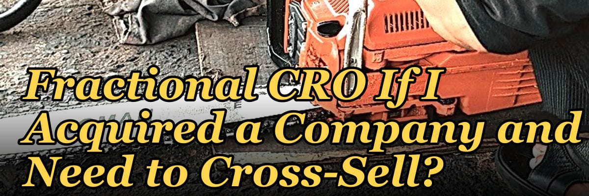 Should I Hire a Fractional CRO If I Acquired a Company and Need to Cross-Sell?