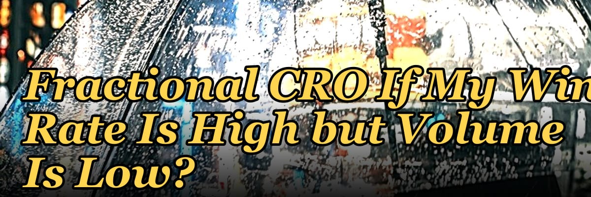 Should I Hire a Fractional CRO If My Win Rate Is High but Volume Is Low?