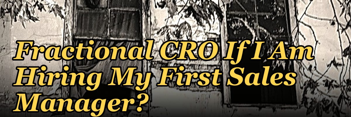 Should I Hire a Fractional CRO If I Am Hiring My First Sales Manager?