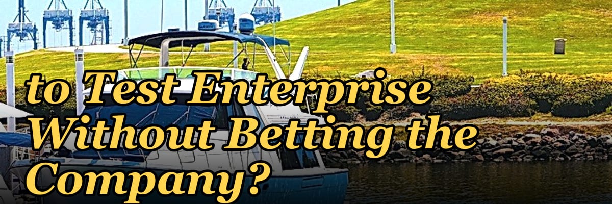 Should I Hire a Fractional CRO If I Want to Test Enterprise Without Betting the Company?