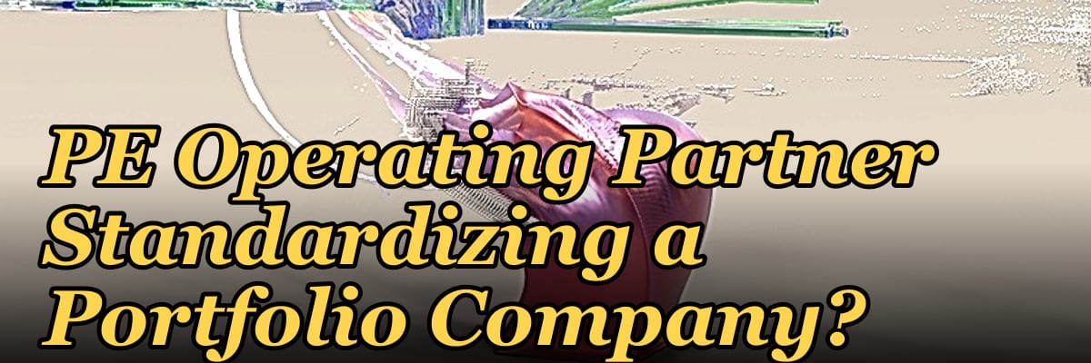 Should I Hire a Fractional CRO If I Am a PE Operating Partner Standardizing a Portfolio Company?