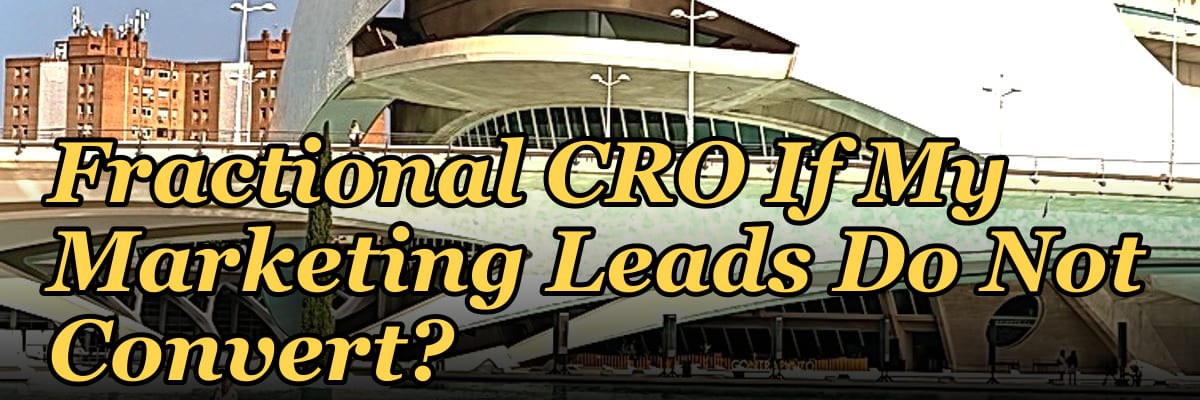 Should I Hire a Fractional CRO If My Marketing Leads Do Not Convert?