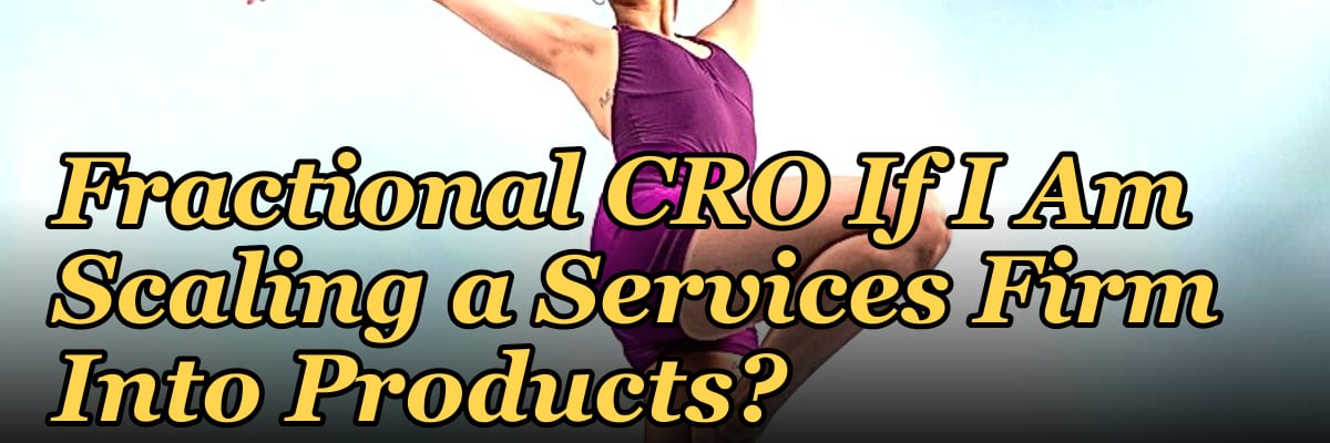 Should I Hire a Fractional CRO If I Am Scaling a Services Firm Into Products?