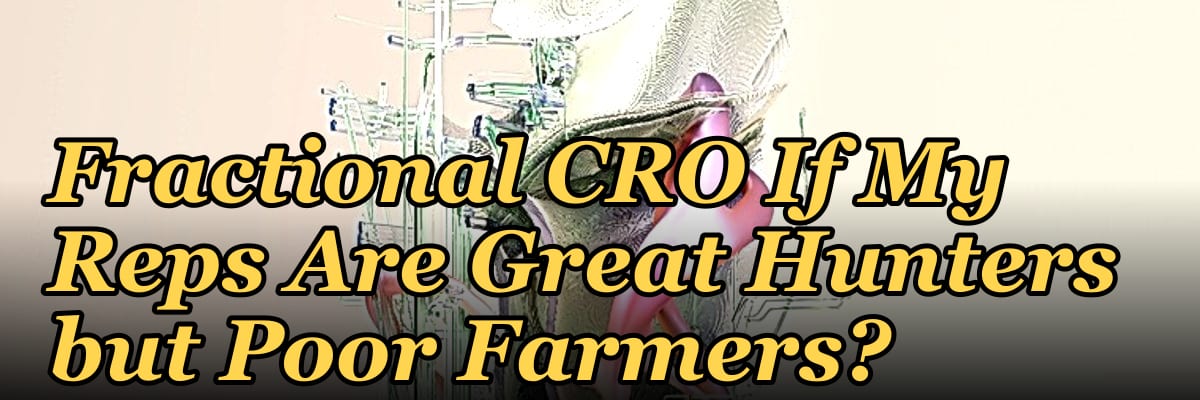 Should I Hire a Fractional CRO If My Reps Are Great Hunters but Poor Farmers?