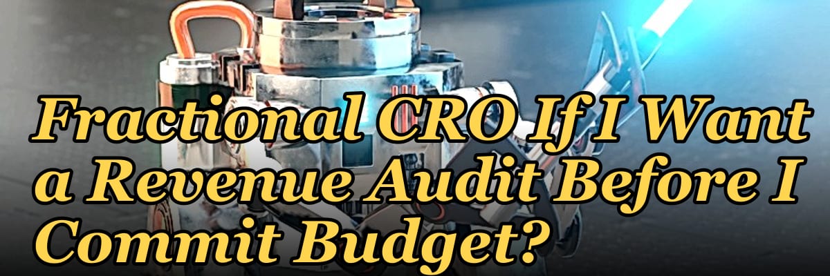 Should I Hire a Fractional CRO If I Want a Revenue Audit Before I Commit Budget?