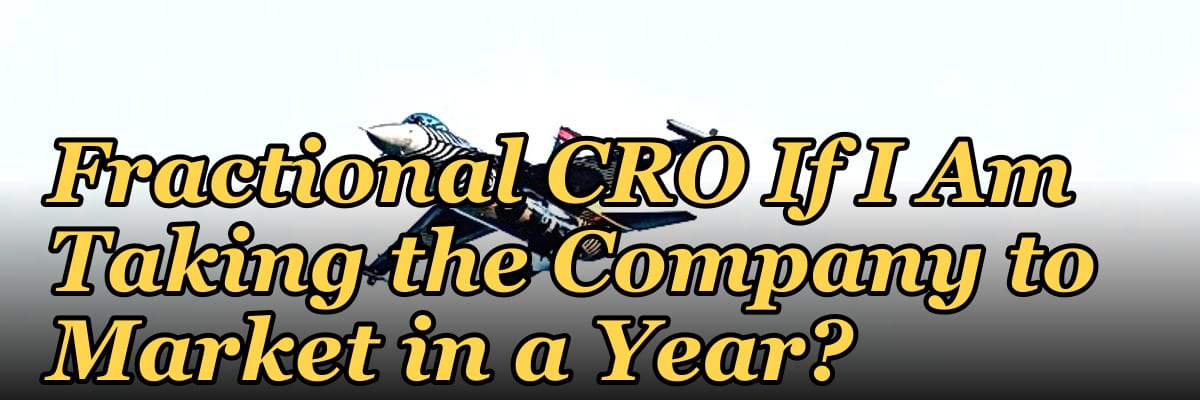 Should I Hire a Fractional CRO If I Am Taking the Company to Market in a Year?