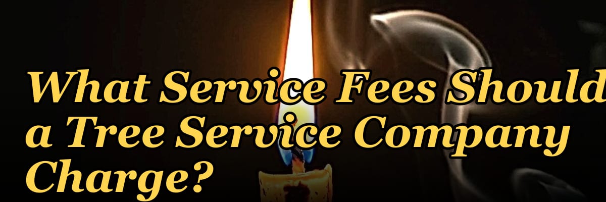 What Service Fees Should a Tree Service Company Charge?