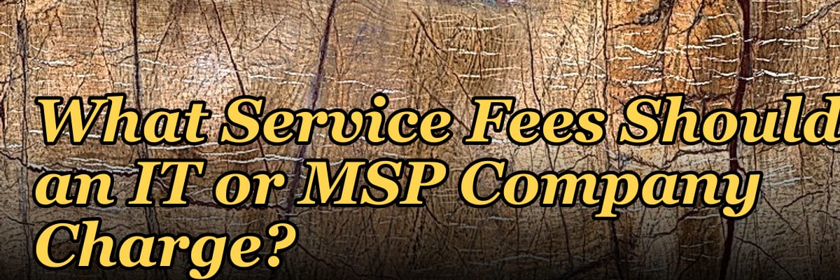 What Service Fees Should an IT or MSP Company Charge?