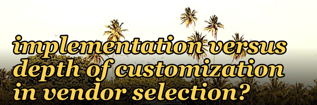 How do buying committees balance speed of AI implementation versus depth of customization in vendor selection?