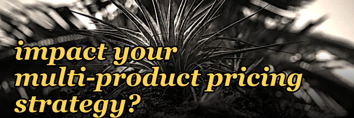 How does vendor consolidation in 2027 impact your multi-product pricing strategy?