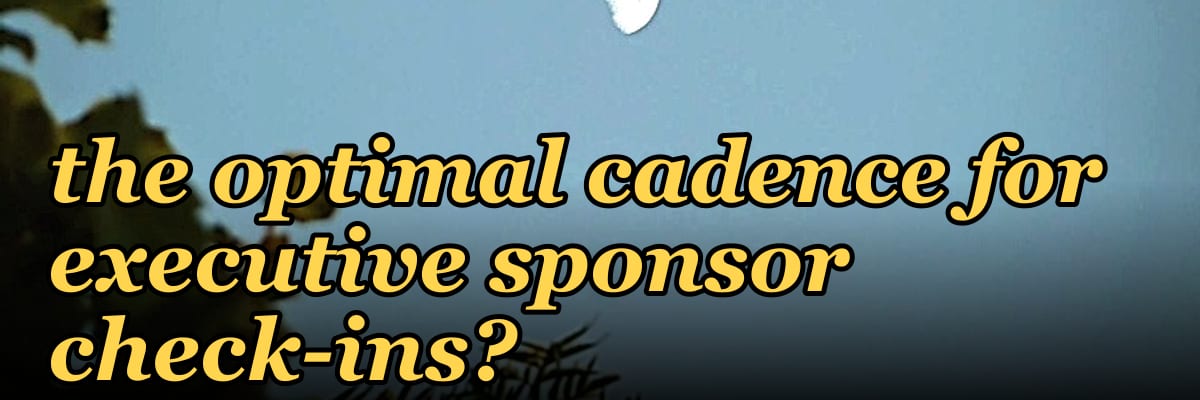 How do longer sales cycles in 2027 change the optimal cadence for executive sponsor check-ins?