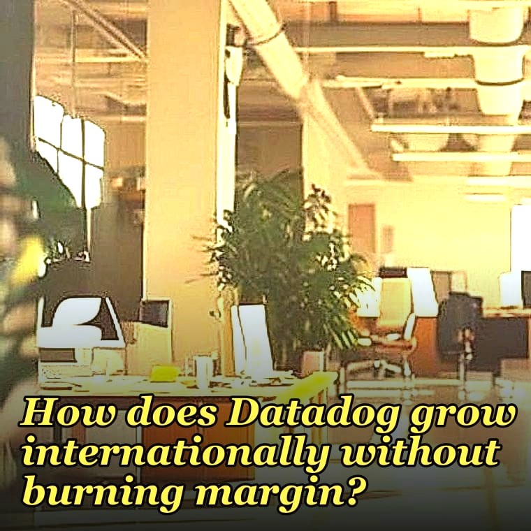 How does Datadog grow internationally without burning margin?