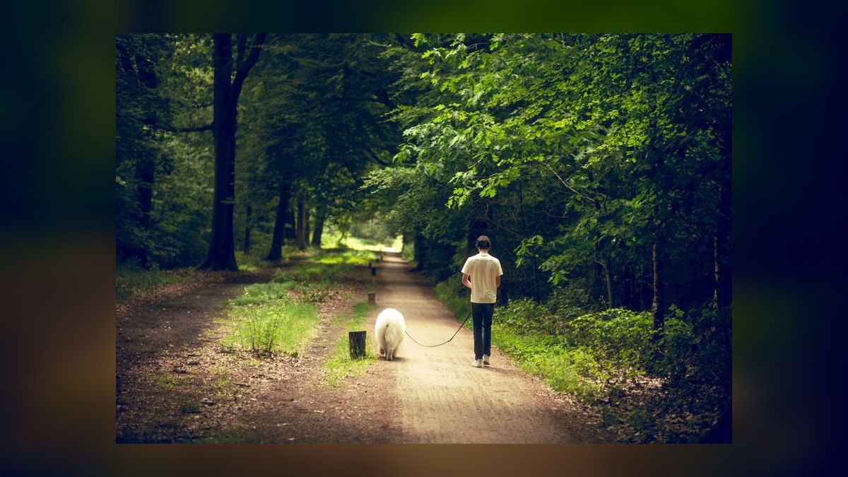 What is Datadog RevOps career path — figure 7