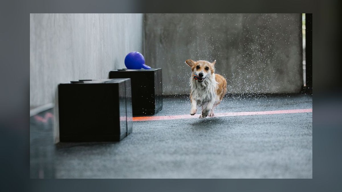 Will Datadog AEs hit quota in 2027 — figure 6