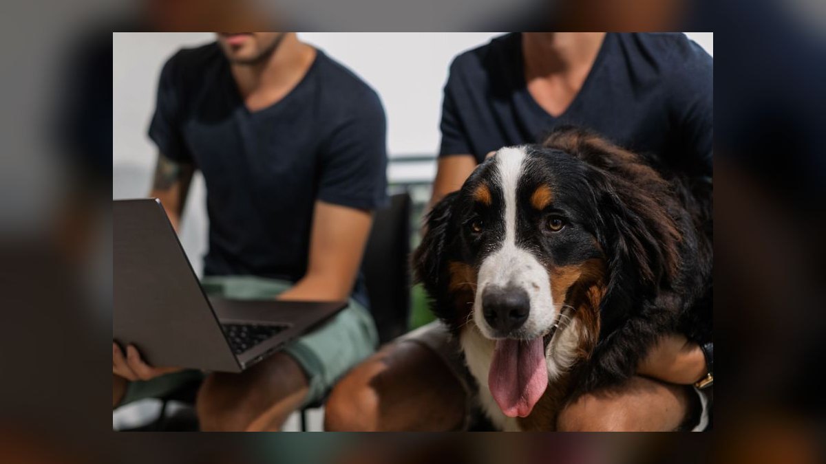 Should Datadog acquire Honeycomb to win observability — figure 10