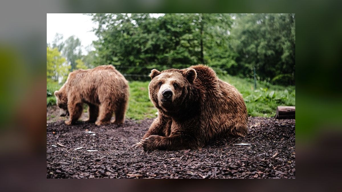 What is the bear case for Datadog 2027 — figure 10