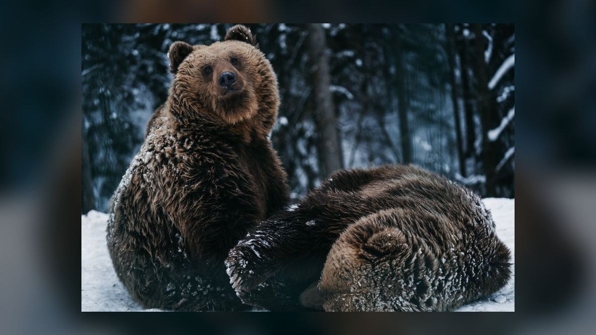 What is the bear case for Datadog 2027 — figure 7