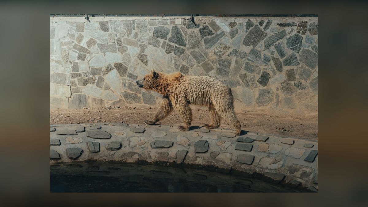 What is the bear case for Datadog 2027 — figure 9
