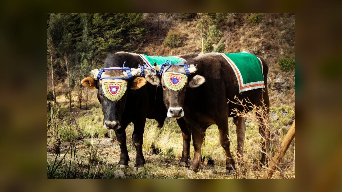 What is the bull case for Datadog 2027 — figure 10