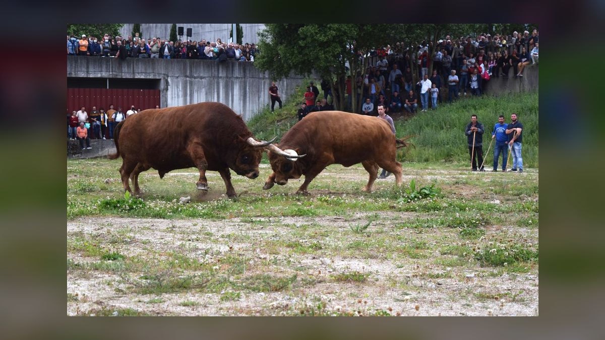 What is the bull case for Datadog 2027 — figure 8