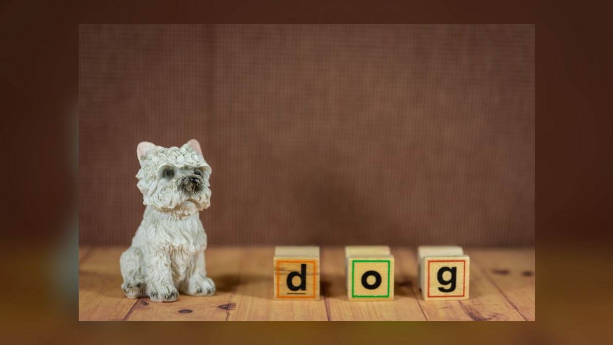 Should Datadog launch its own AI agent marketplace — figure 10