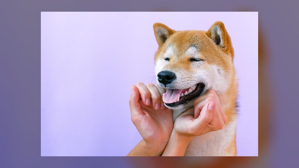 Should Datadog launch its own AI agent marketplace — figure 6