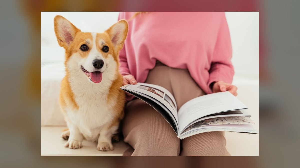 What is Datadog playbook for the next $5B in revenue — figure 7