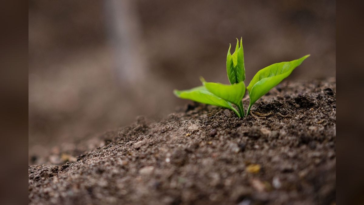 Can Outreach keep growing 20%+ into 2027 — figure 4