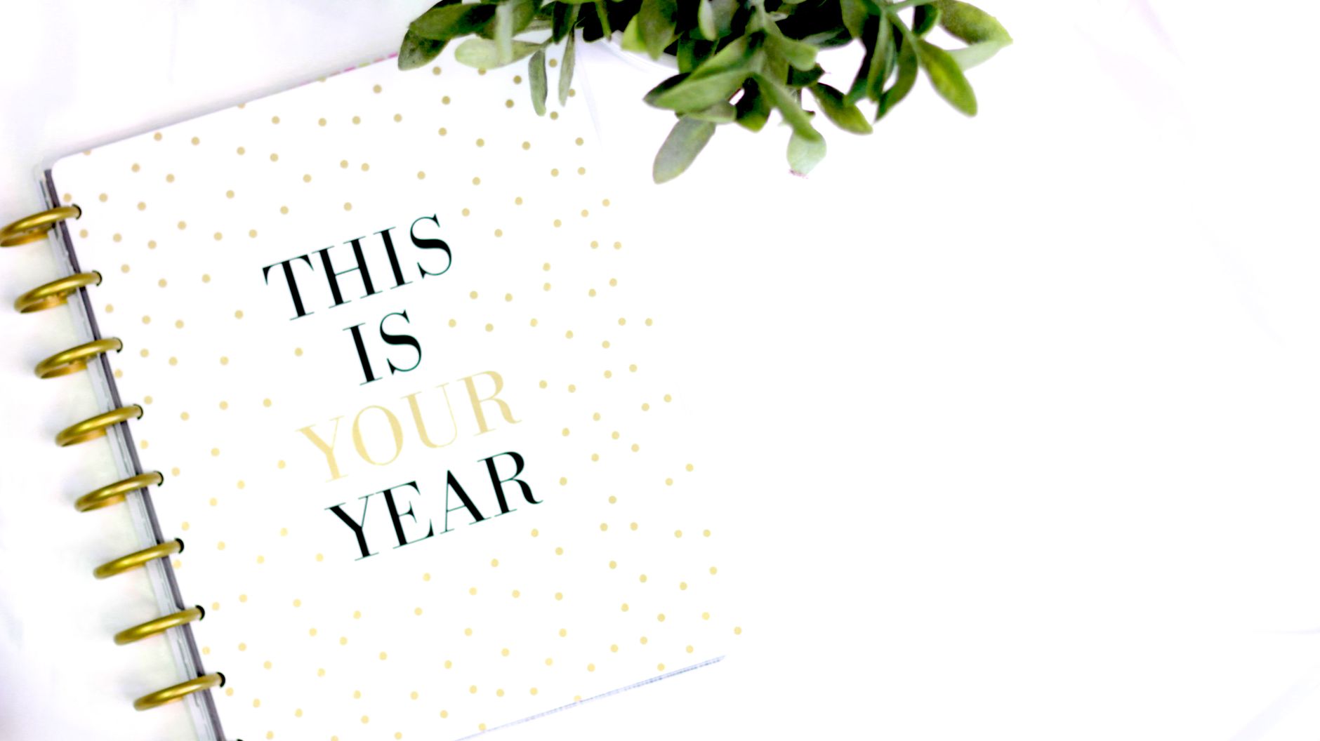 How do you get the most out of your first year as a Chief member in 2028?